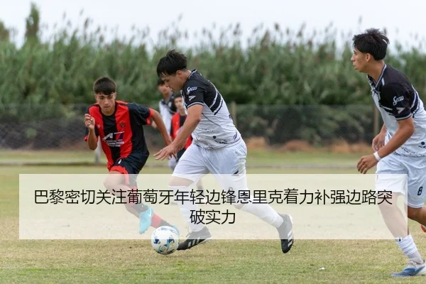 img_1783688369593_2159_1_367.jpg